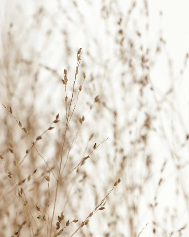 Flexform Corporate Showroom Meda