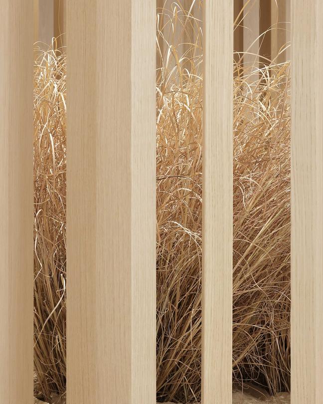 Flexform Corporate Showroom Meda