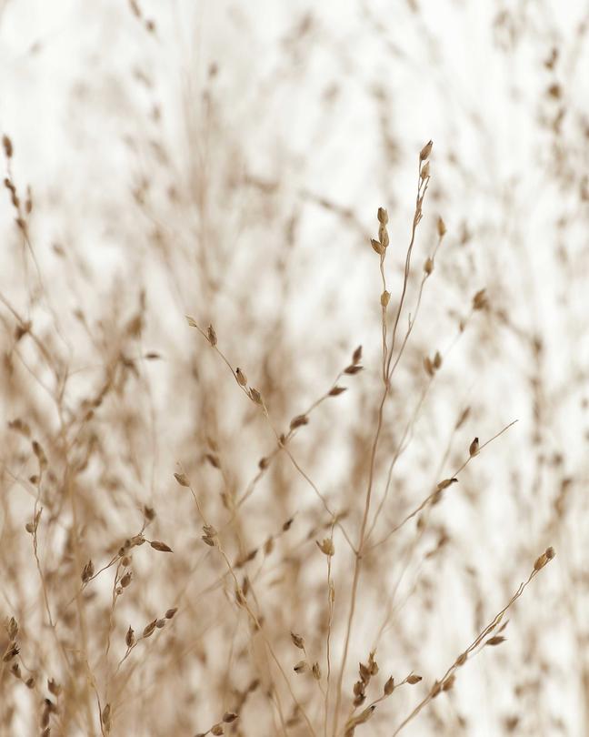 Flexform Corporate Showroom Meda